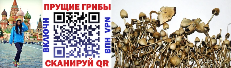 Псилоцибиновые грибы MAGIC MUSHROOMS  Ивангород 